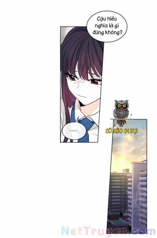 Luật Của Tiểu Thuyết Mạng 92 trang 19