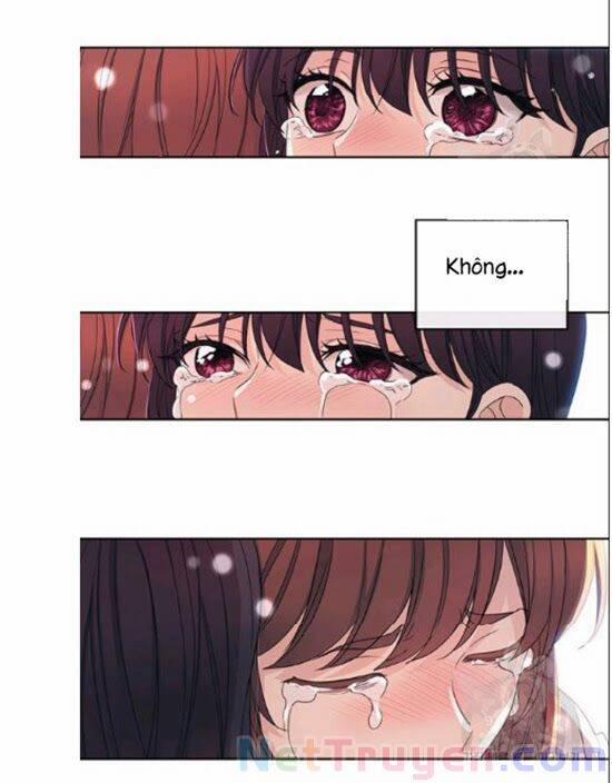 Luật Của Tiểu Thuyết Mạng 92 trang 55