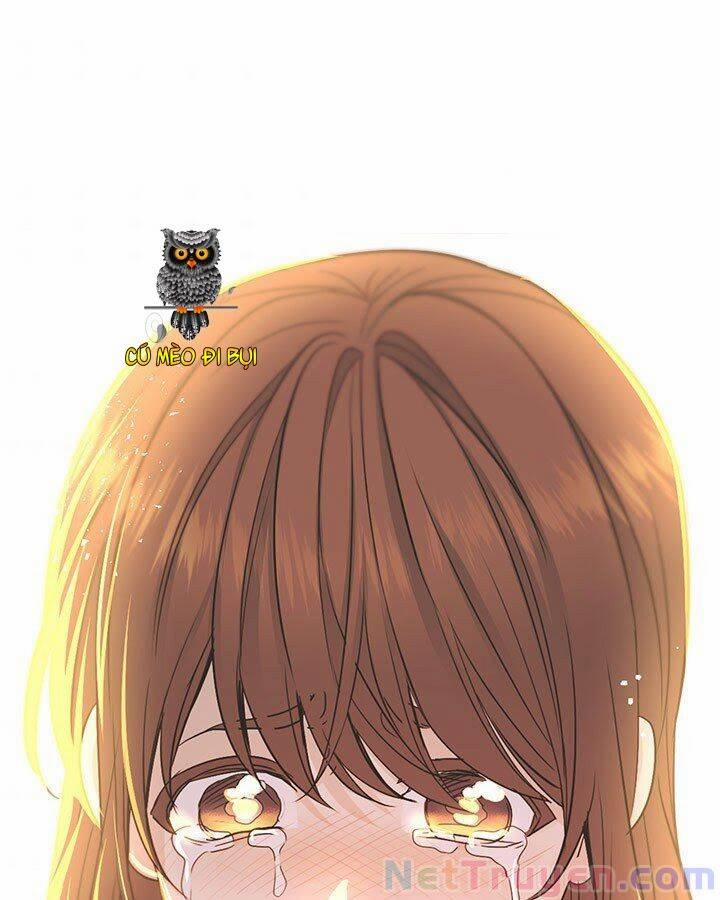 Luật Của Tiểu Thuyết Mạng 97 trang 81