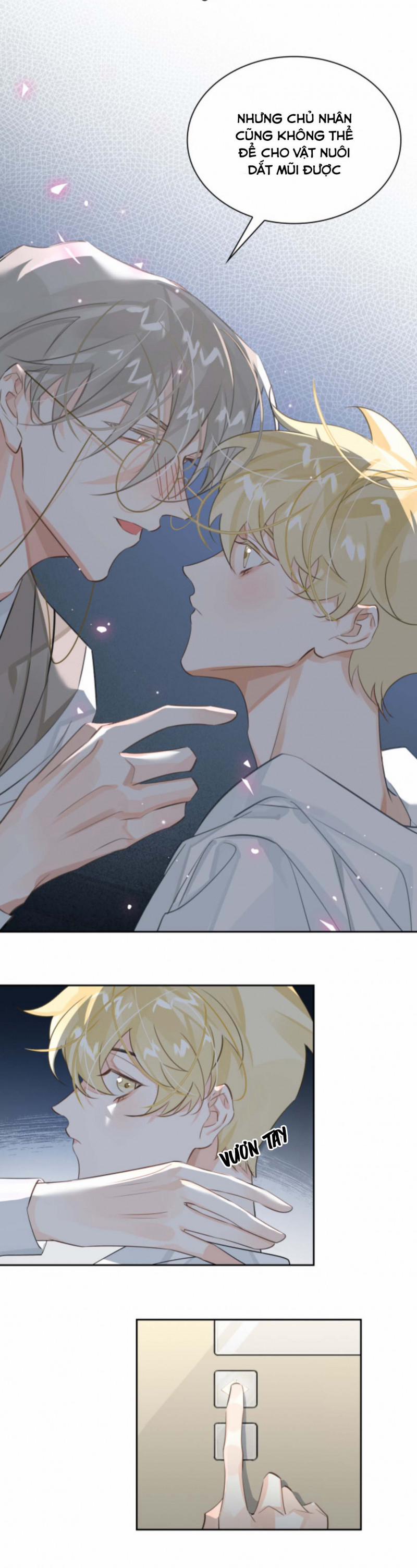 Luật Im Lặng 14 trang 12