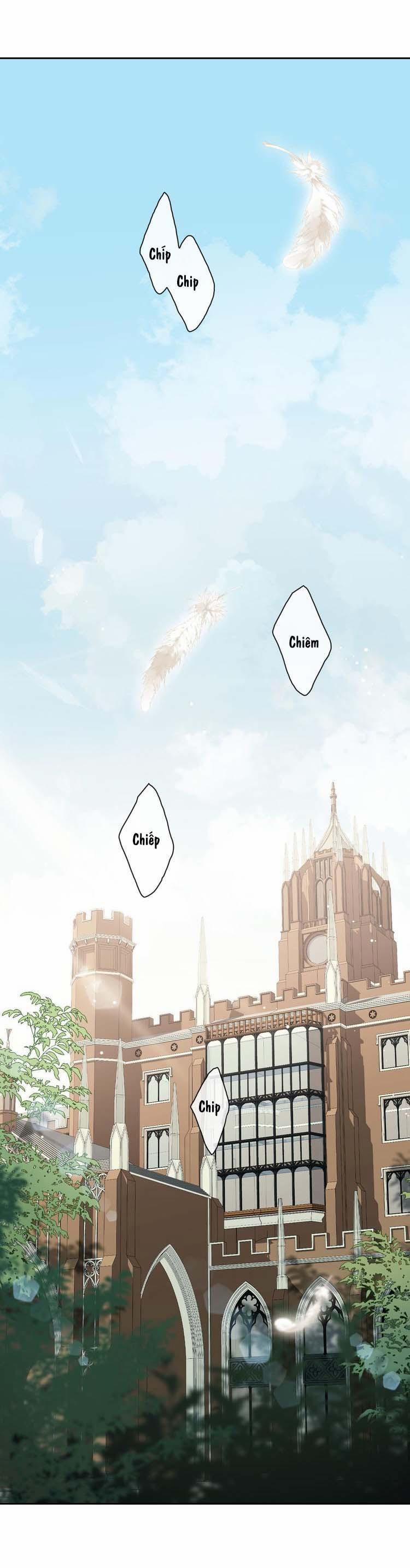 Luật Im Lặng 17 trang 0