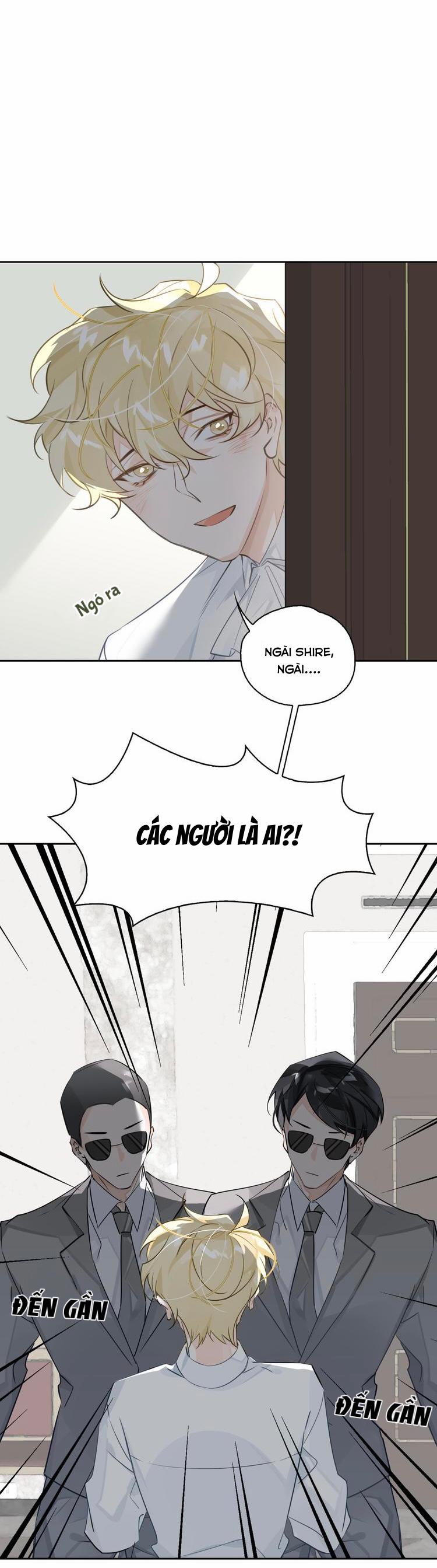 Luật Im Lặng 19 trang 8