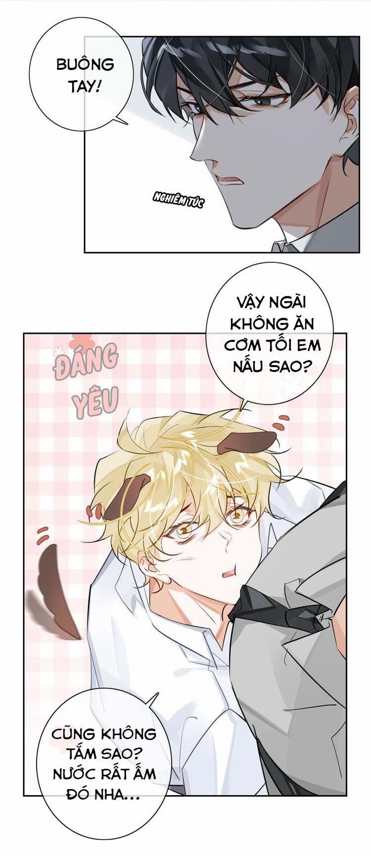 Luật Im Lặng 24 trang 7