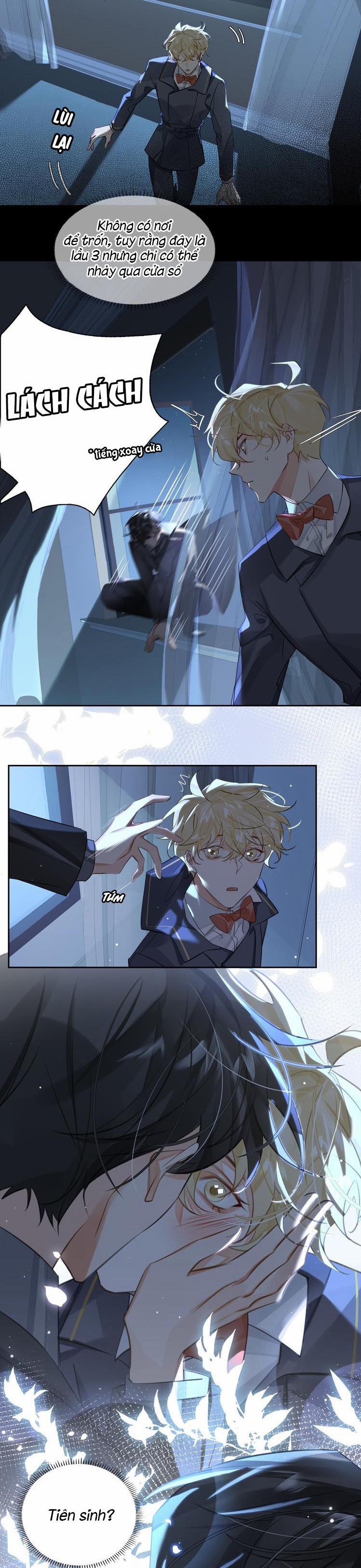 Luật Im Lặng 30 trang 5