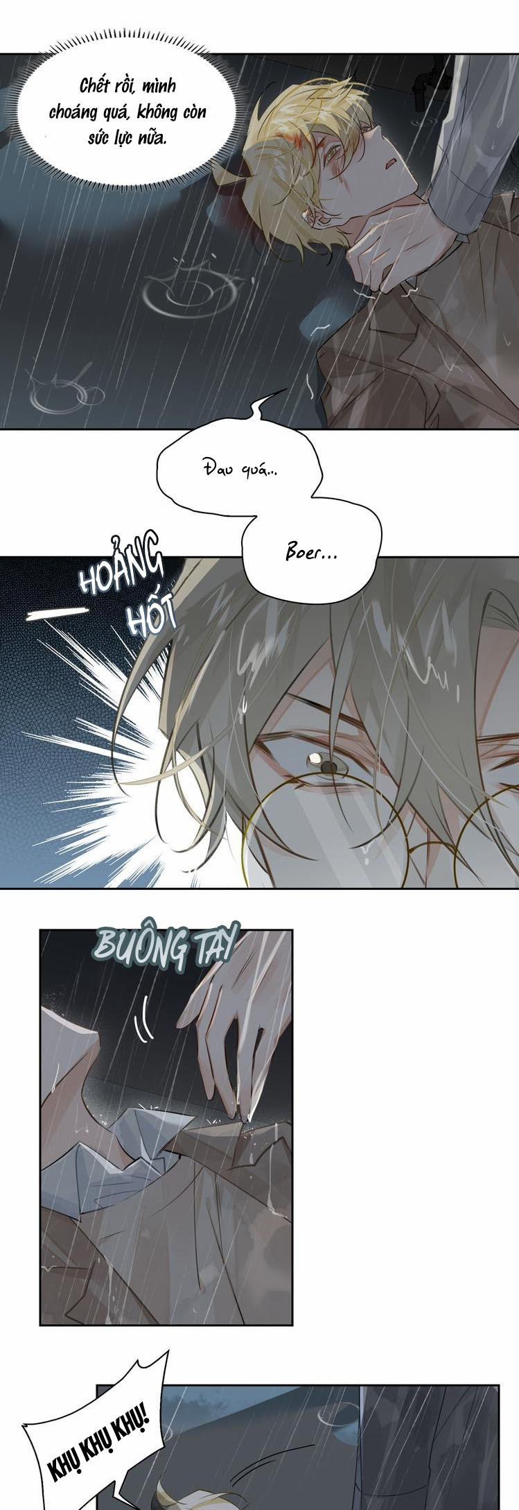 Luật Im Lặng 32 trang 12