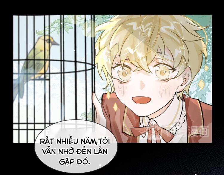 Luật Im Lặng 9 trang 21