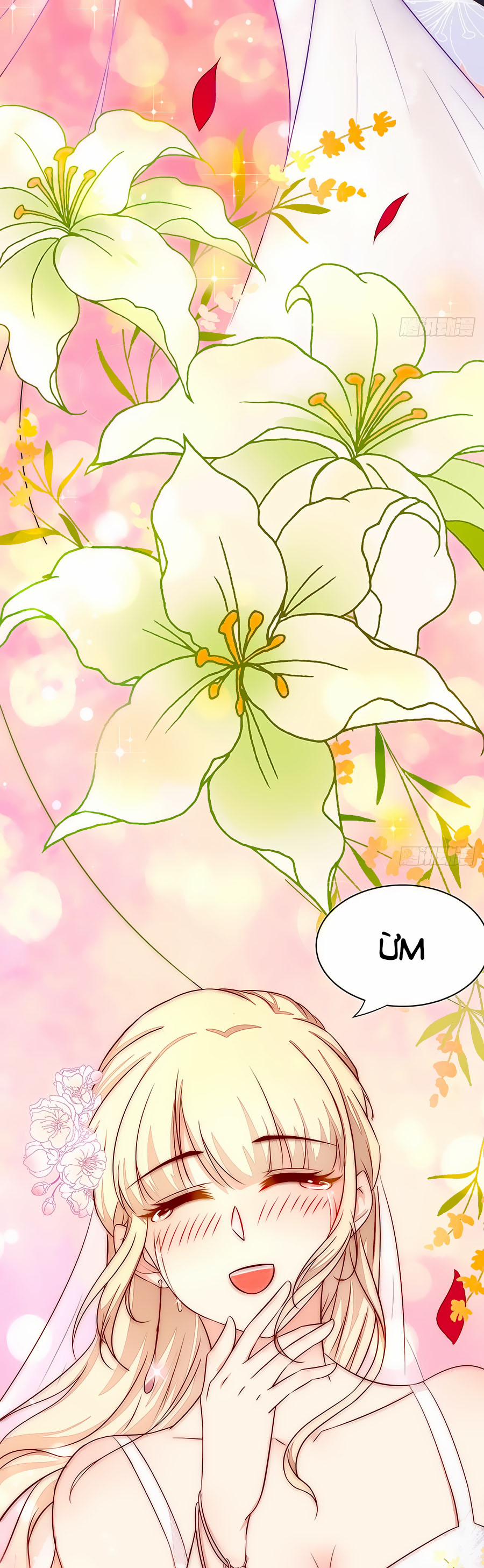 Lục Tiên Sinh Đừng Chọc Vào Tôi 6 trang 8