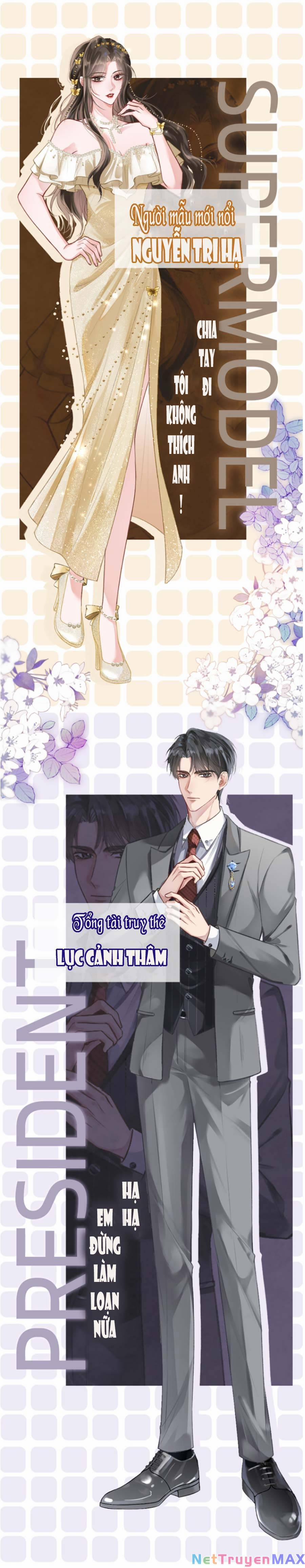 Lục Tổng Theo Đuổi Vợ Hậu Chia Tay 0 trang 0