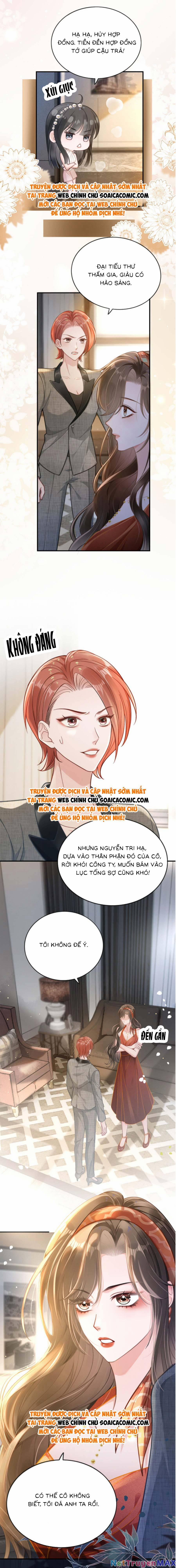 Lục Tổng Theo Đuổi Vợ Hậu Chia Tay 2 trang 4