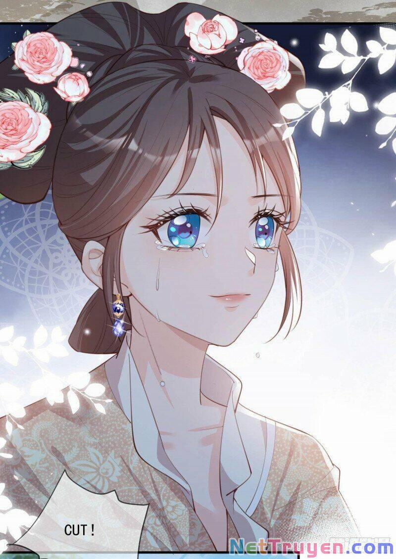 Lục Tổng, Vợ Anh Lại Lên Hot Search Rồi 11.5 trang 5