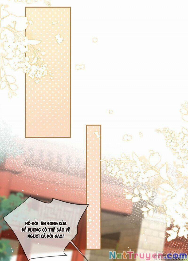 Lục Tổng, Vợ Anh Lại Lên Hot Search Rồi 13 trang 13