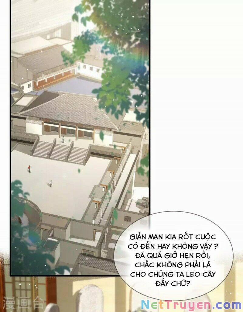 Lục Tổng, Vợ Anh Lại Lên Hot Search Rồi 15 trang 1