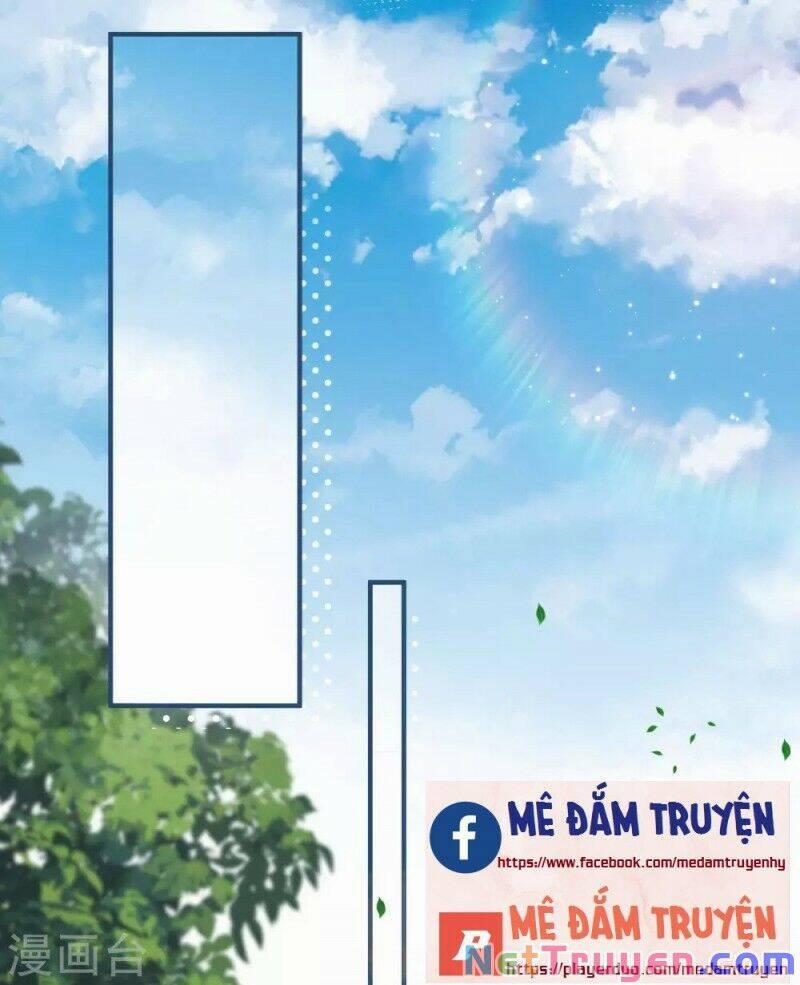 Lục Tổng, Vợ Anh Lại Lên Hot Search Rồi 16 trang 18