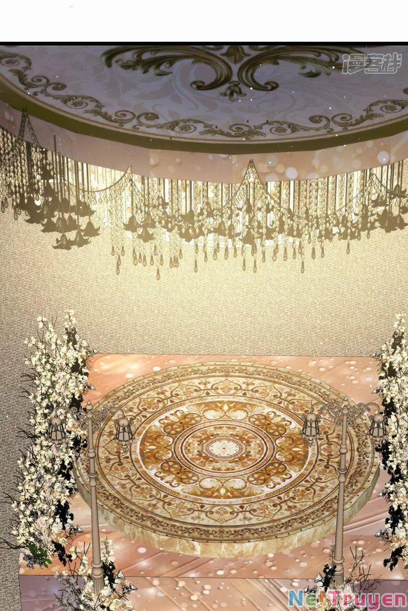 Lục Tổng, Vợ Anh Lại Lên Hot Search Rồi 54 trang 12