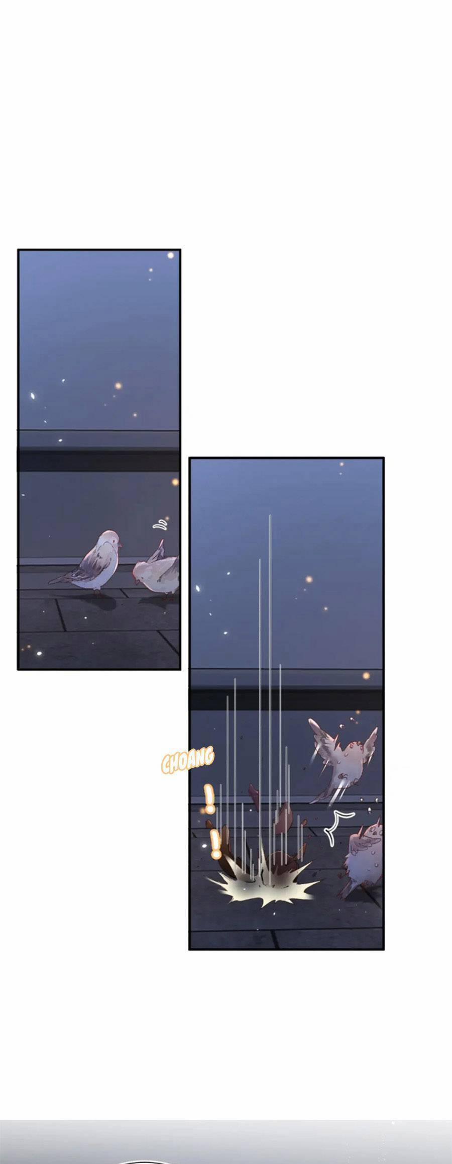 Lui Lui Lui Lui Ra! 104 trang 5