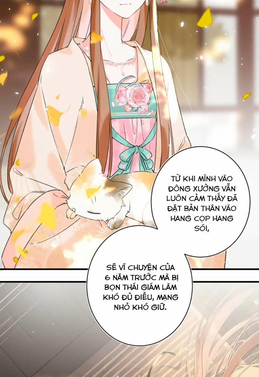 Lui Lui Lui Lui Ra! 12 trang 1