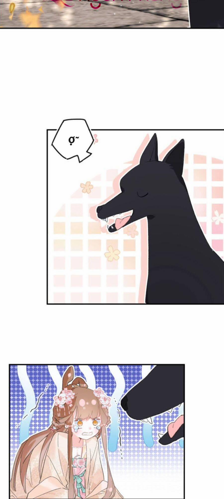 Lui Lui Lui Lui Ra! 19 trang 1