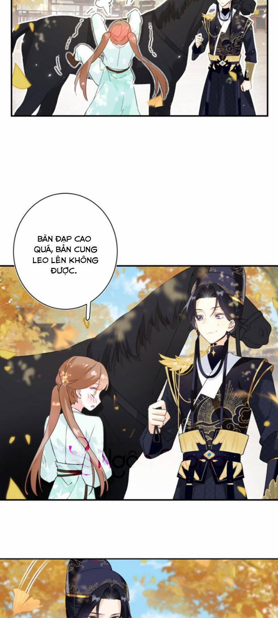 Lui Lui Lui Lui Ra! 19 trang 24