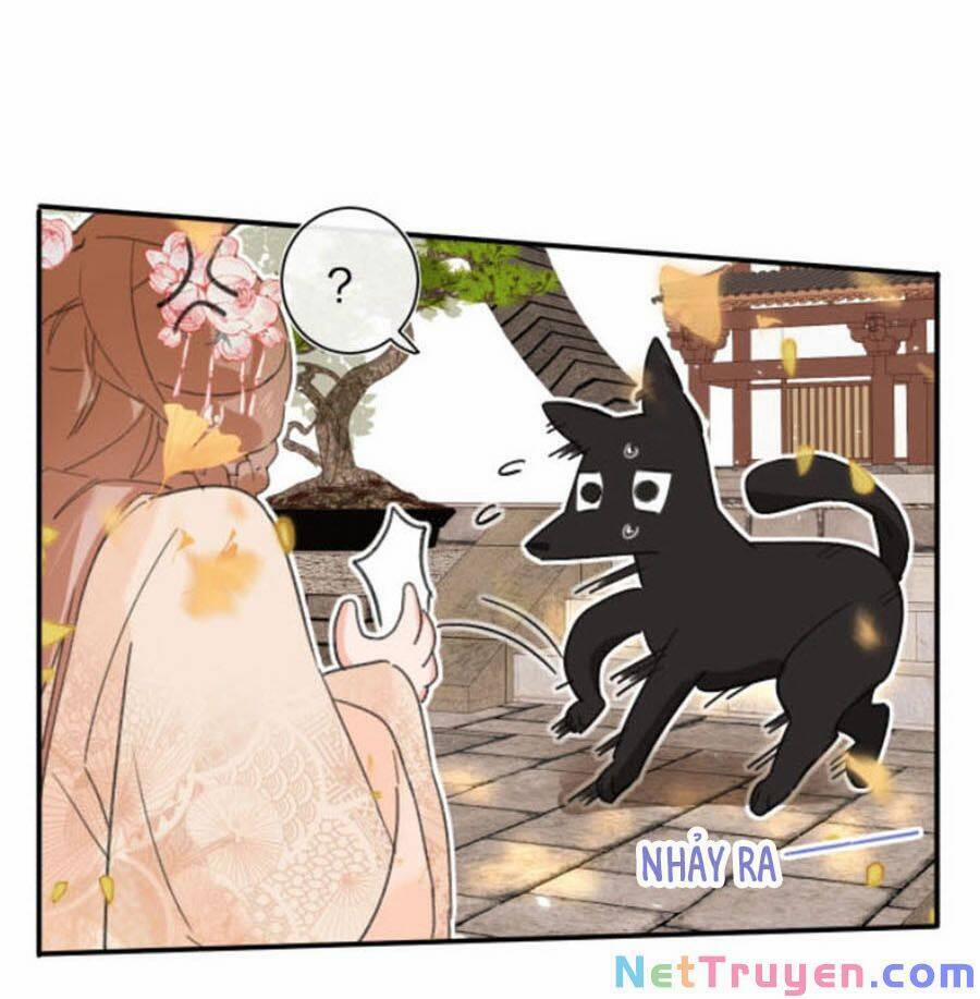 Lui Lui Lui Lui Ra! 19 trang 3