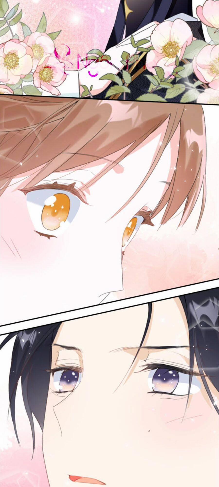 Lui Lui Lui Lui Ra! 19 trang 31