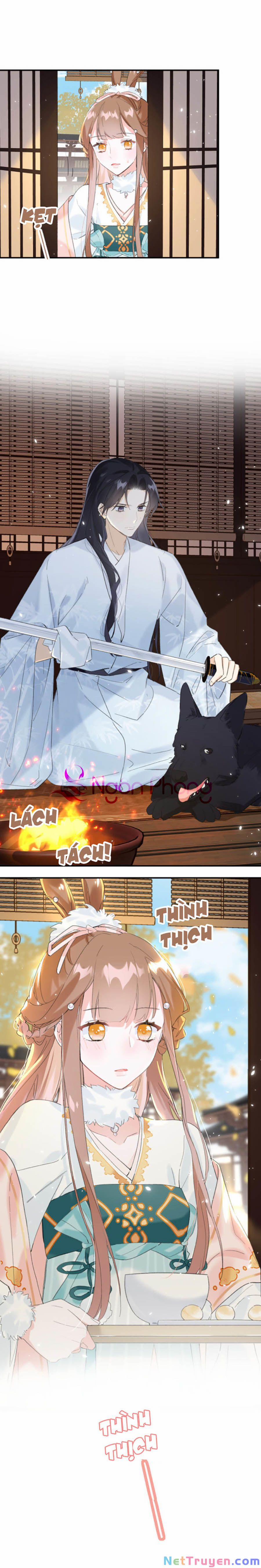 Lui Lui Lui Lui Ra! 26 trang 8