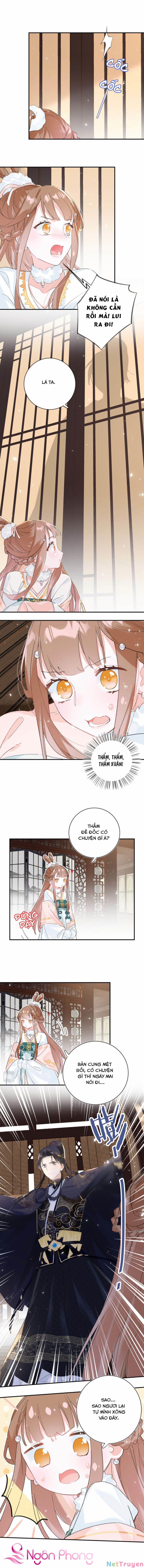 Lui Lui Lui Lui Ra! 31 trang 2