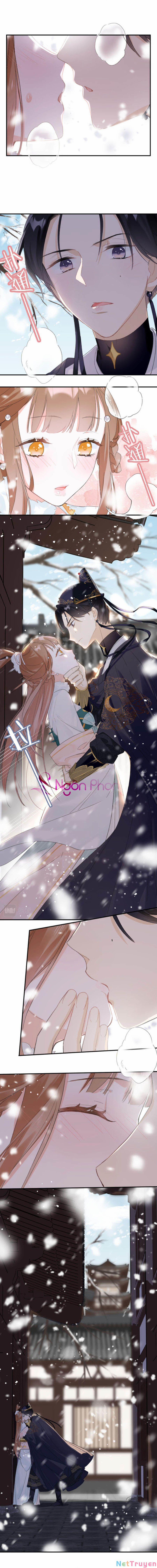 Lui Lui Lui Lui Ra! 33 trang 1