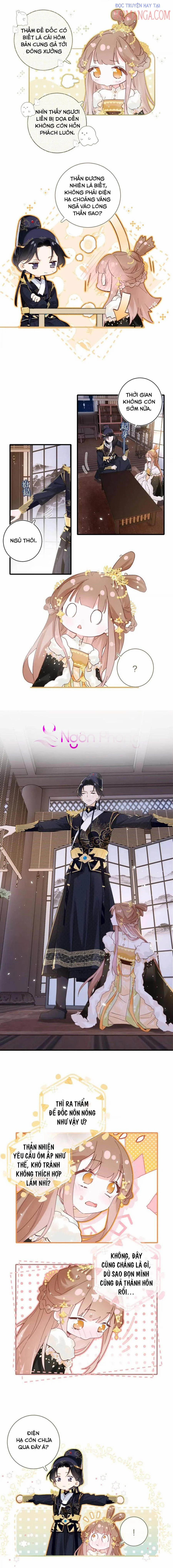 Lui Lui Lui Lui Ra! 41 trang 3