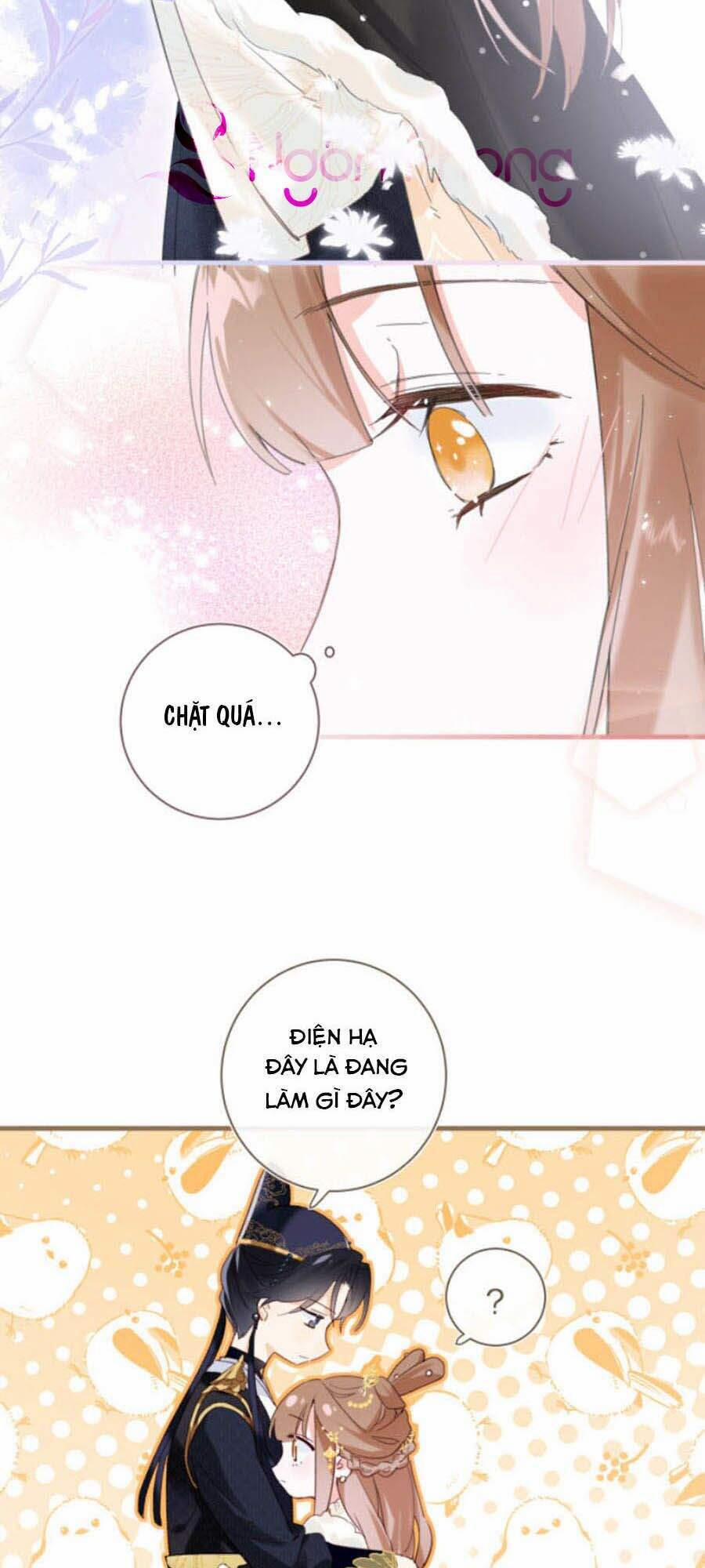 Lui Lui Lui Lui Ra! 42 trang 1