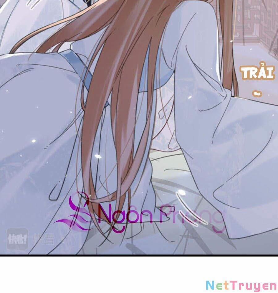 Lui Lui Lui Lui Ra! 42 trang 13