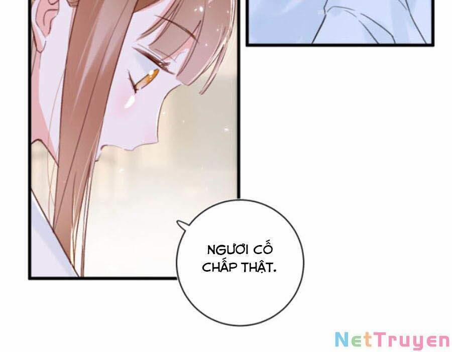 Lui Lui Lui Lui Ra! 42 trang 17