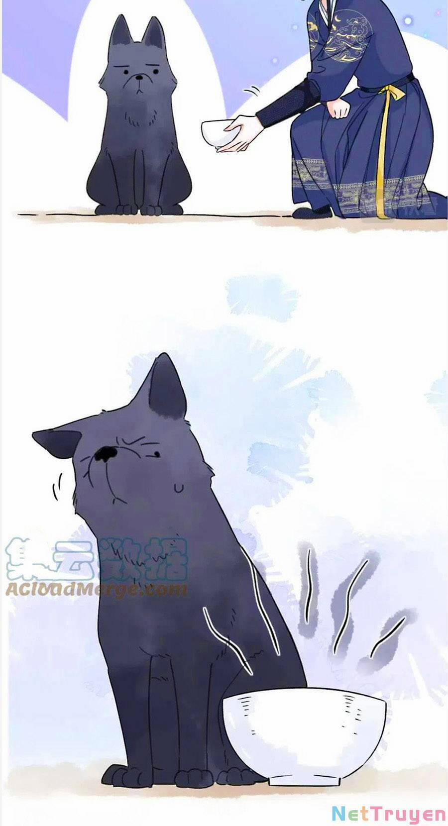 Lui Lui Lui Lui Ra! 75 trang 24