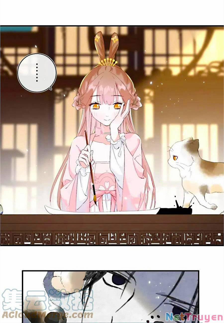 Lui Lui Lui Lui Ra! 77 trang 2