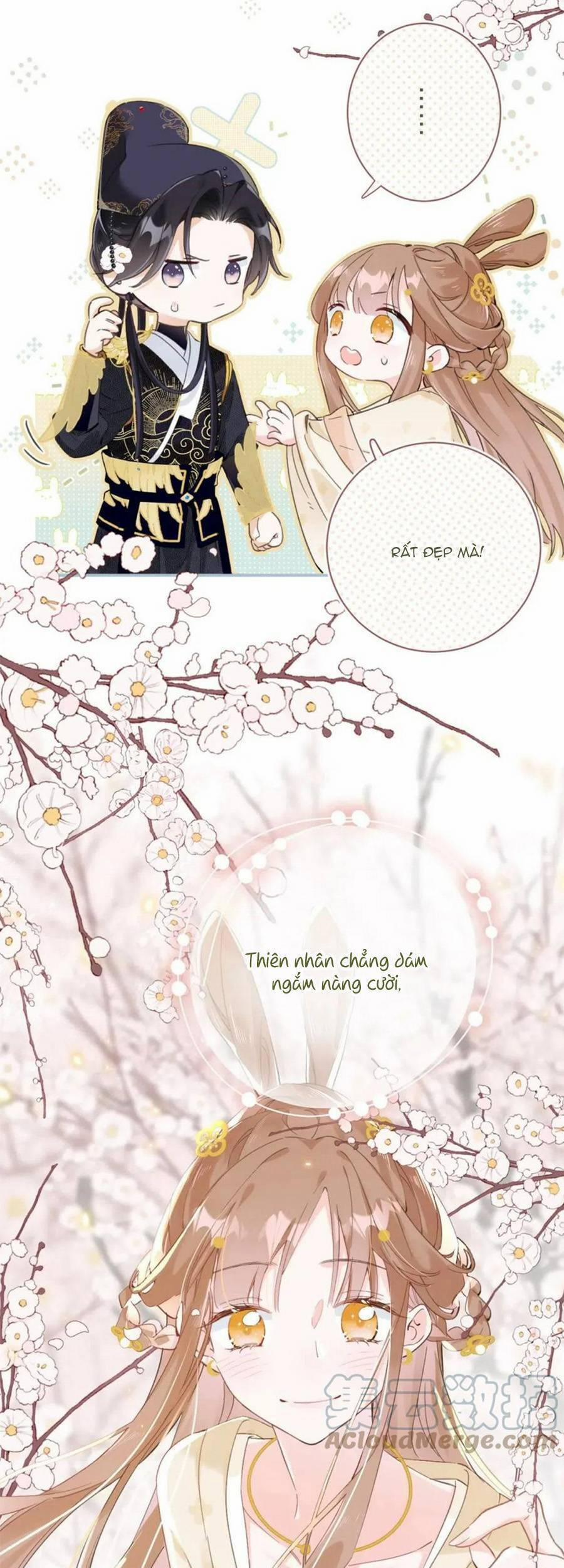 Lui Lui Lui Lui Ra! 87 trang 43