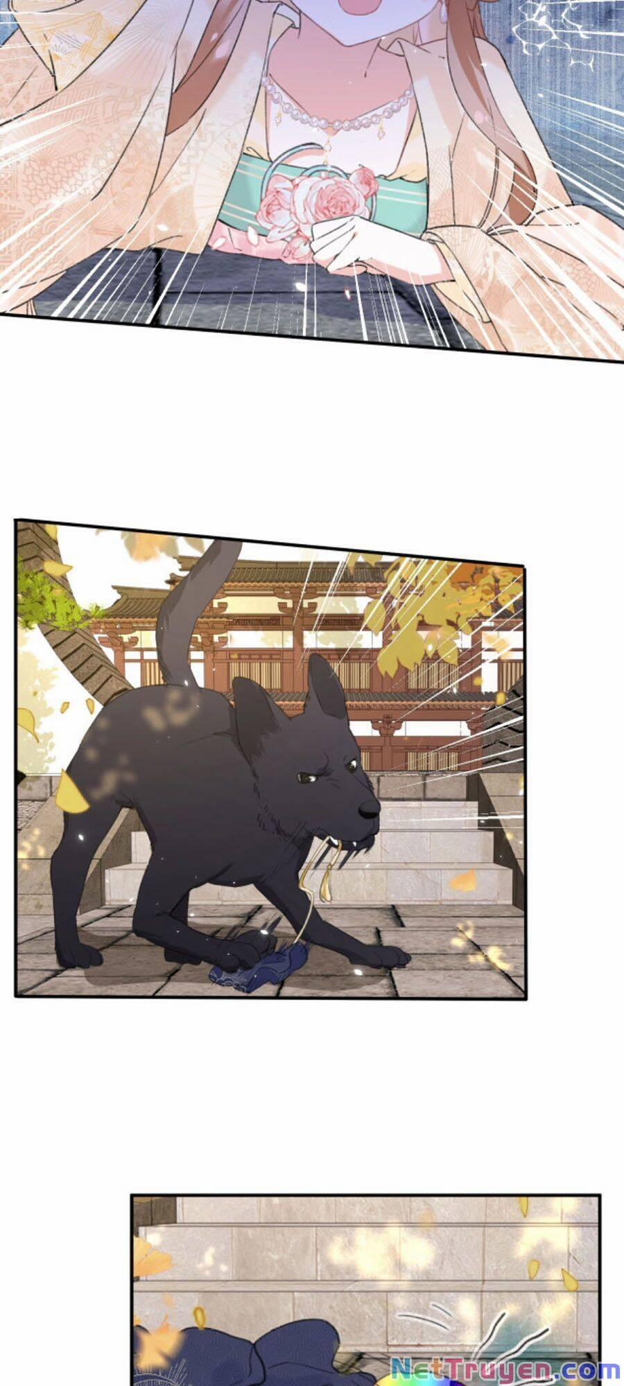 Lui Lui Lui Ra 18 trang 26