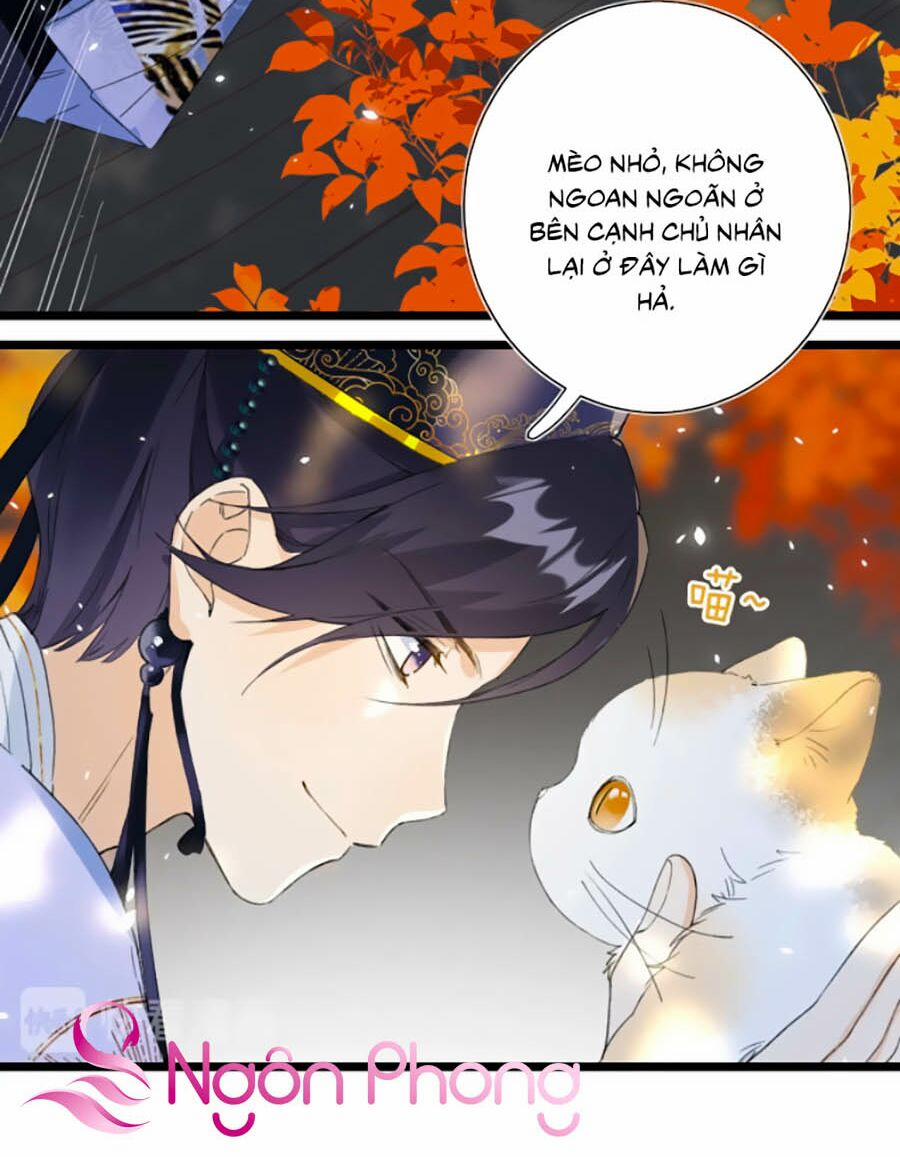 Lui Lui Lui Ra 6 trang 11