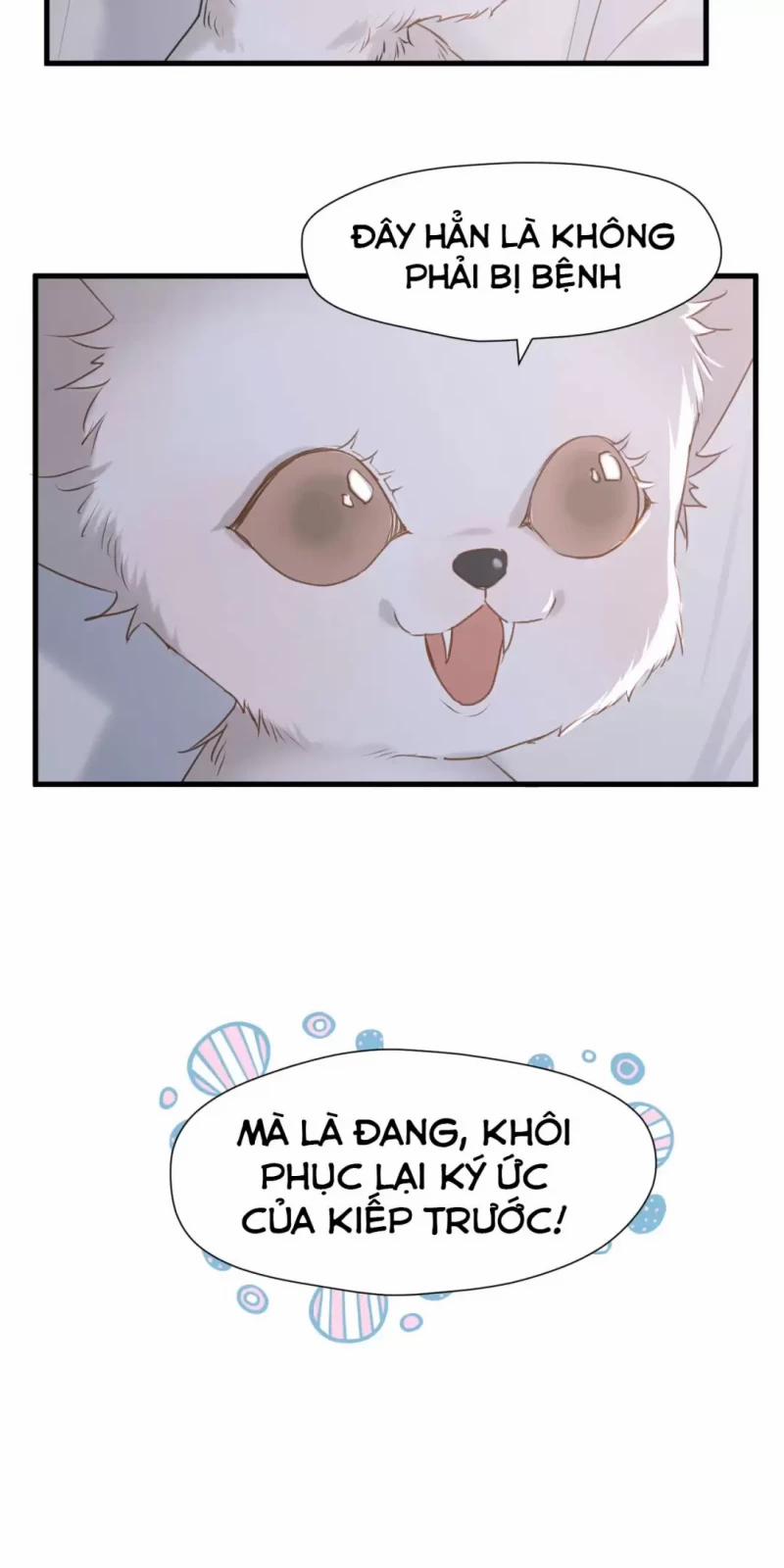 Lượm Được 1 Tiểu Hồ Ly 4 5 trang 27