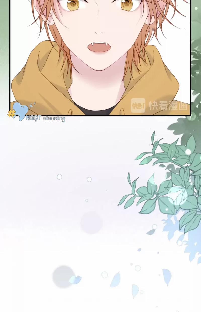 Lượm Được 1 Tiểu Hồ Ly 4 6 trang 21