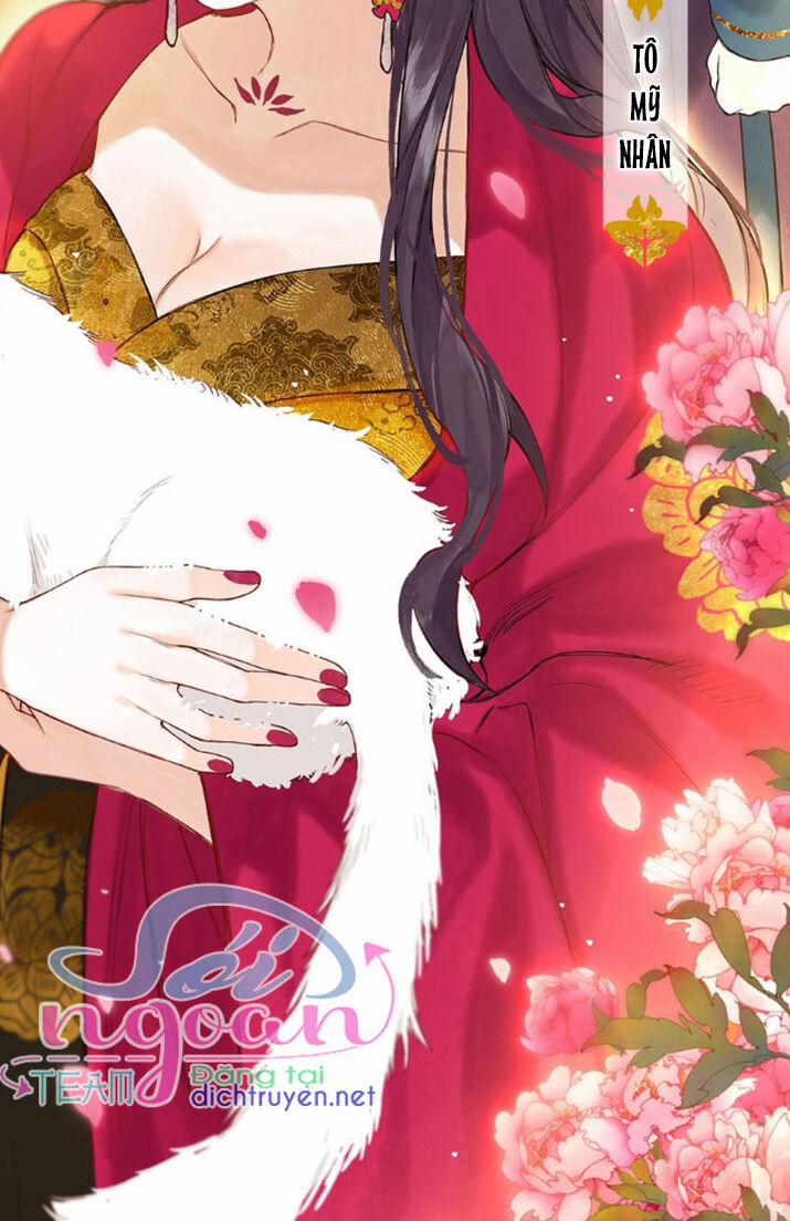 Lưu Hoa Bất Cập Xuân 19 trang 11