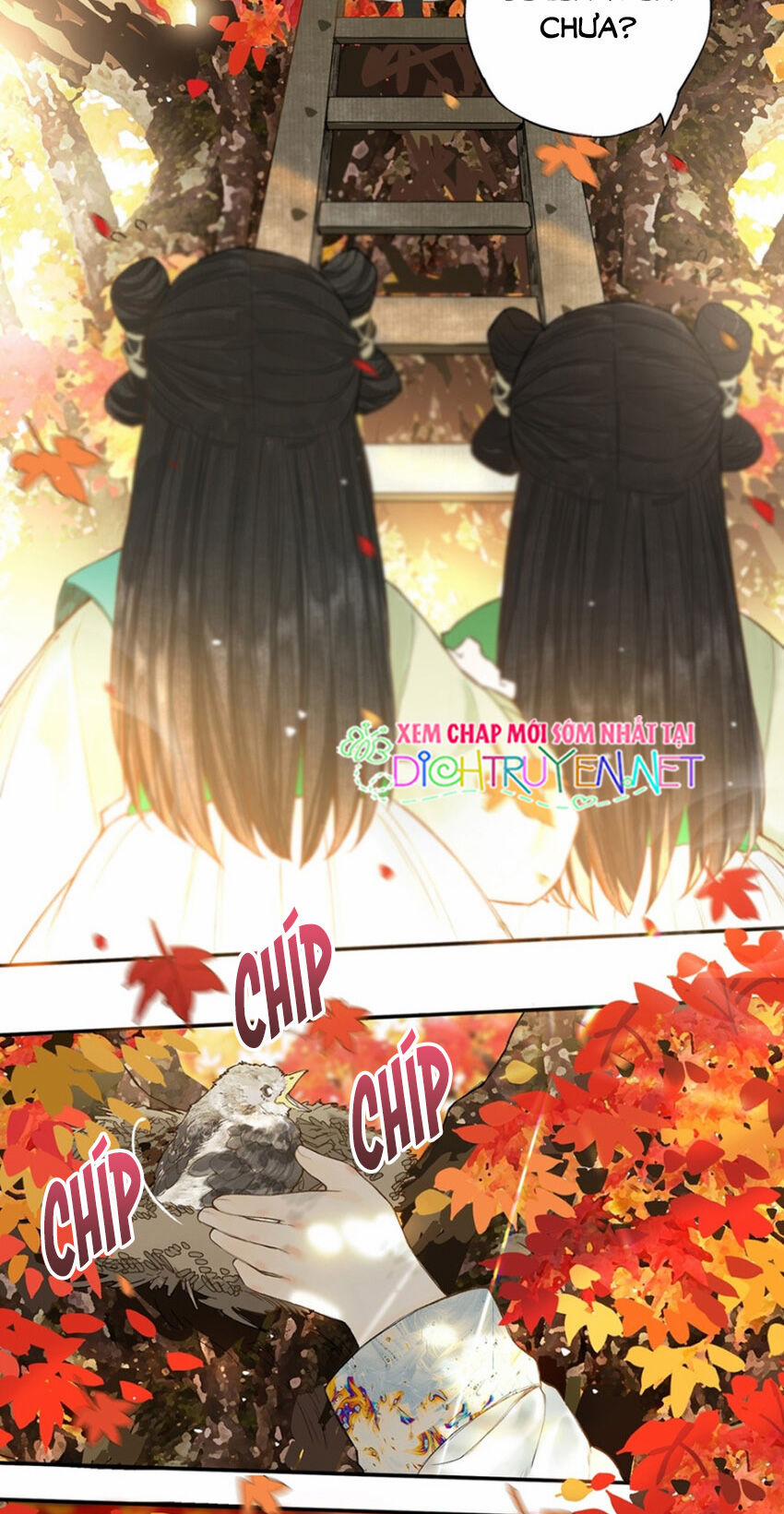 Lưu Hoa Bất Cập Xuân 22 trang 5