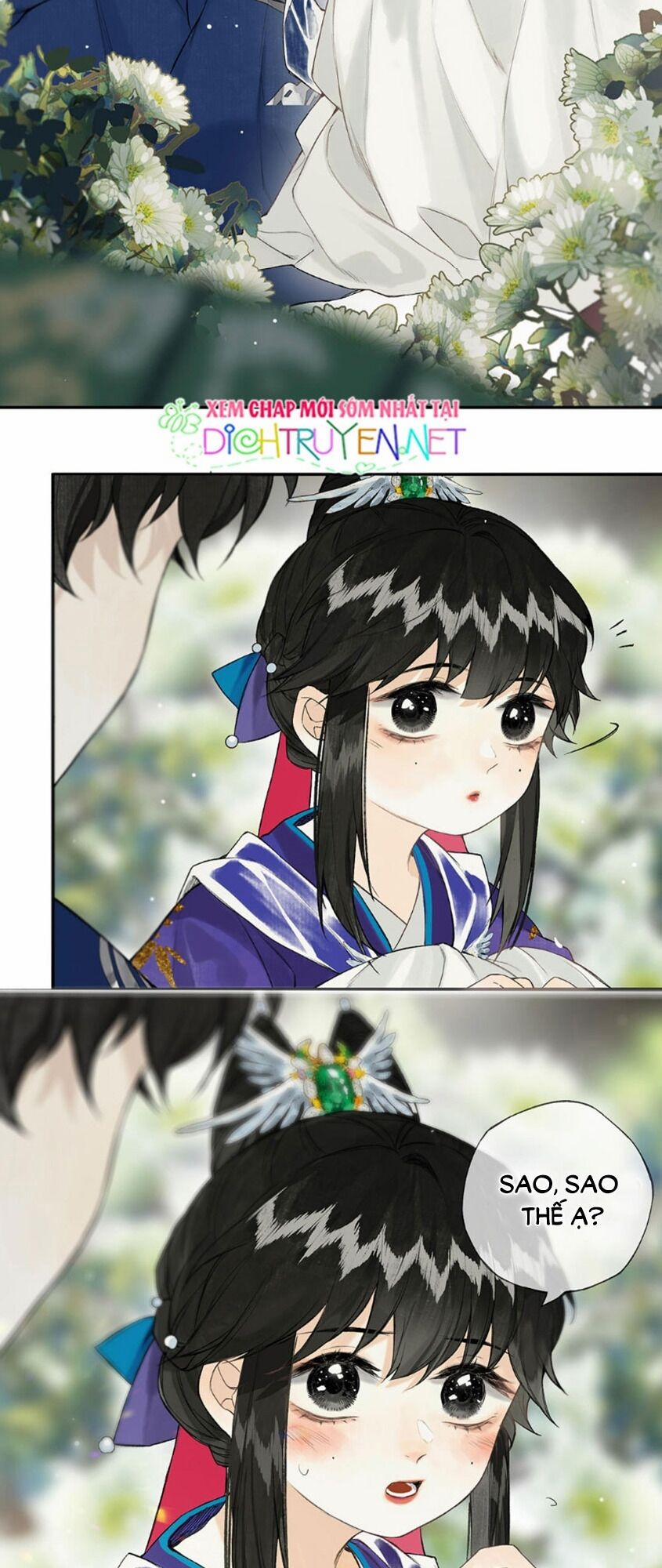 Lưu Hoa Bất Cập Xuân 28 trang 15