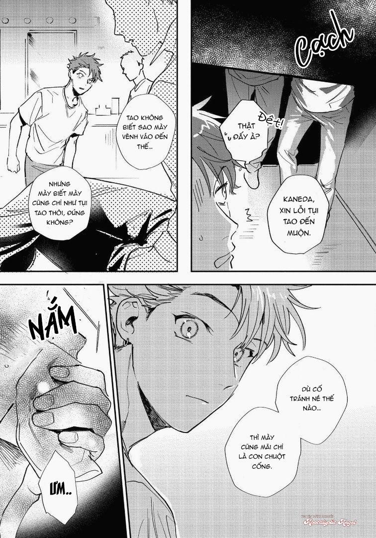 Lưu Manh Và Viên Tuần Tra Đêm 4 trang 12