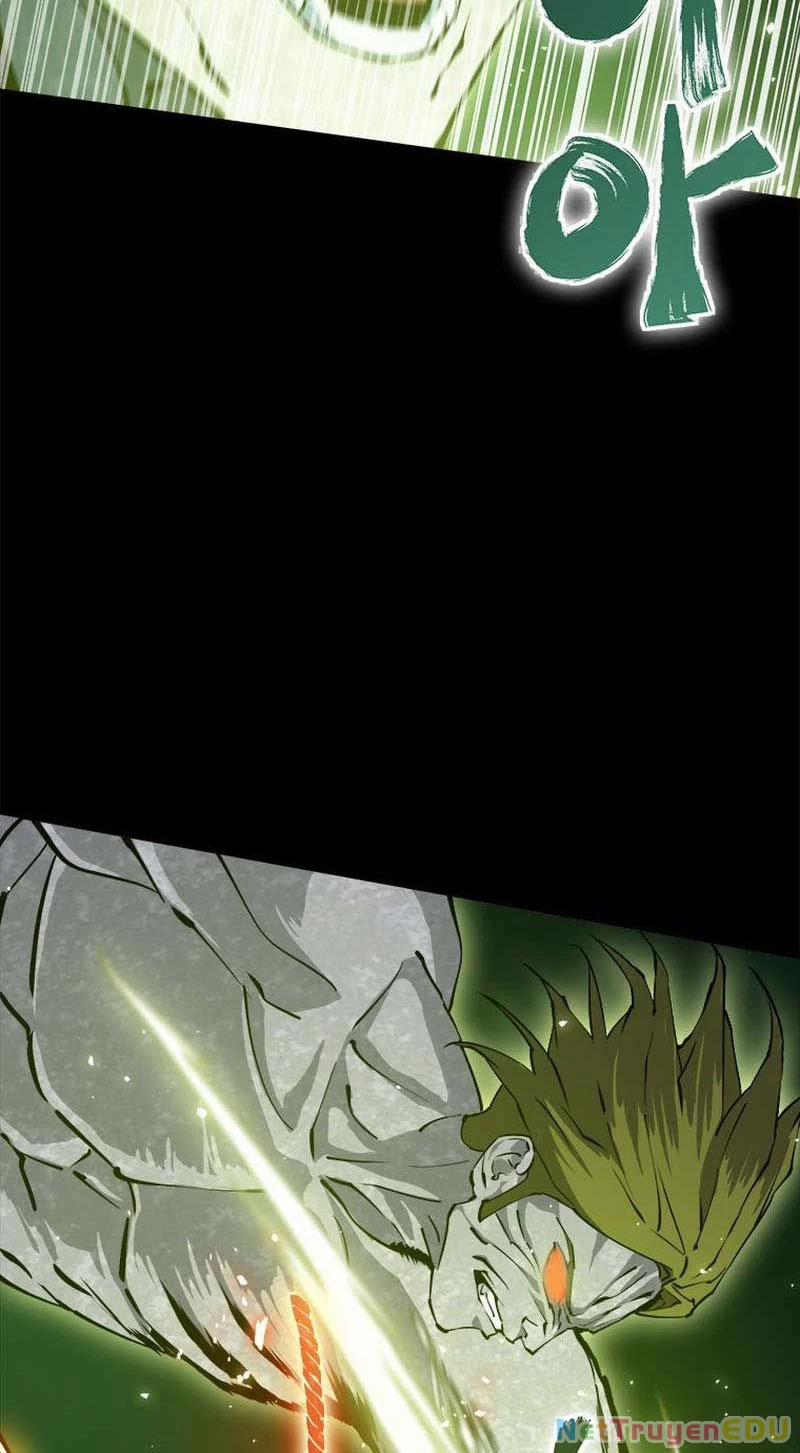 Lv 1 Bất Khả Chiến Bại 19 trang 14