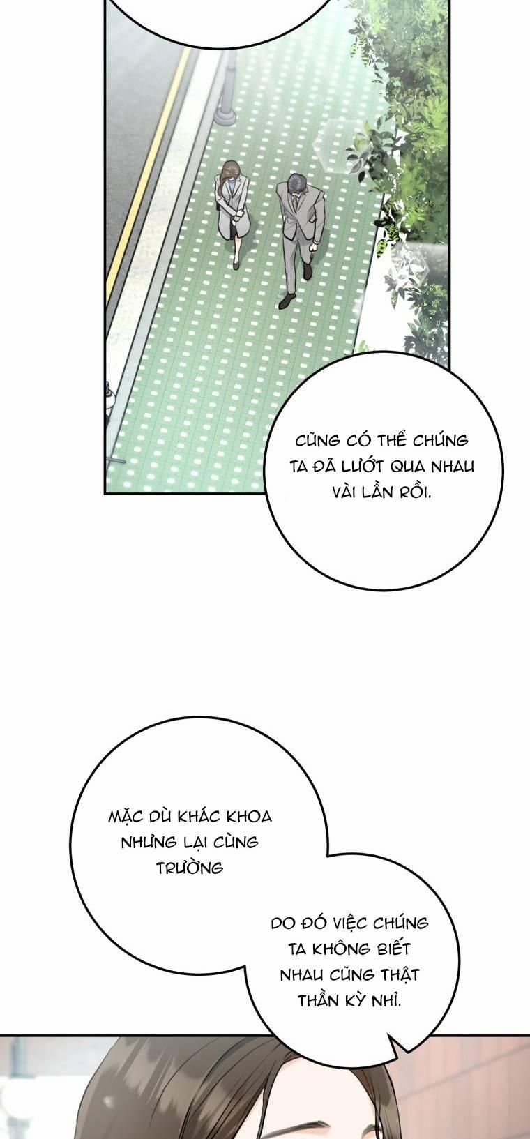 Lý Do Kết Hôn 6.1 trang 13