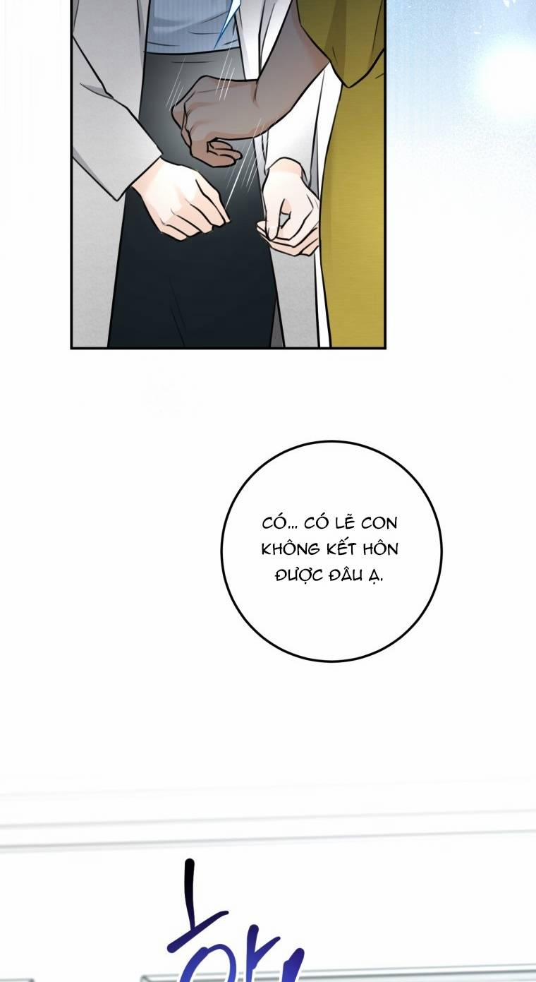 Lý Do Kết Hôn 8.2 trang 12