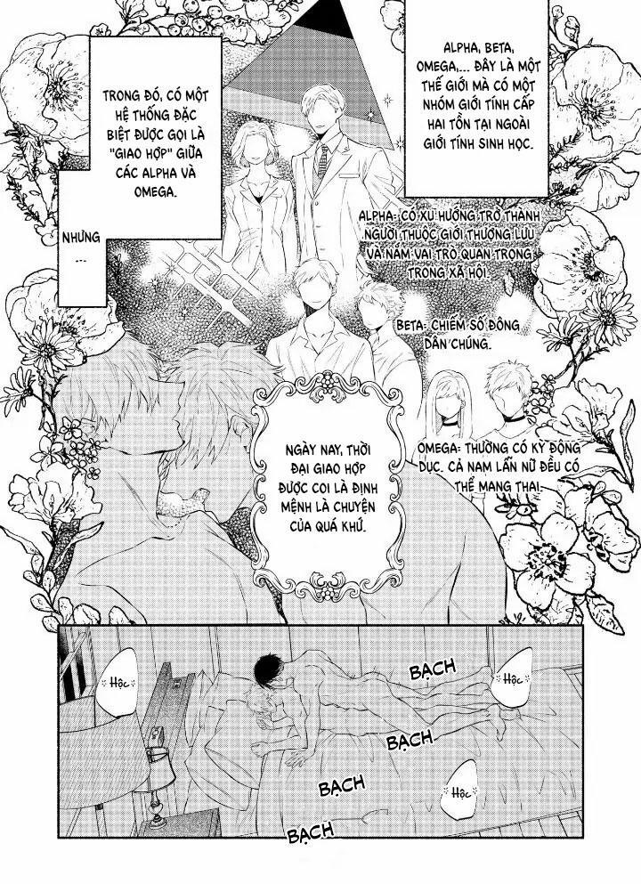 Ly Hôn Đi, Hỡi Ngài Alpha 1 trang 0