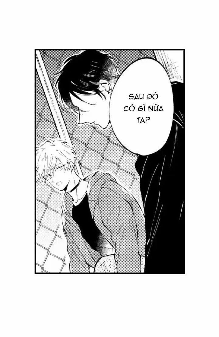 Ly Hôn Đi, Hỡi Ngài Alpha 11 trang 13