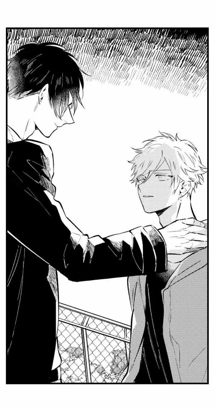 Ly Hôn Đi, Hỡi Ngài Alpha 11 trang 28