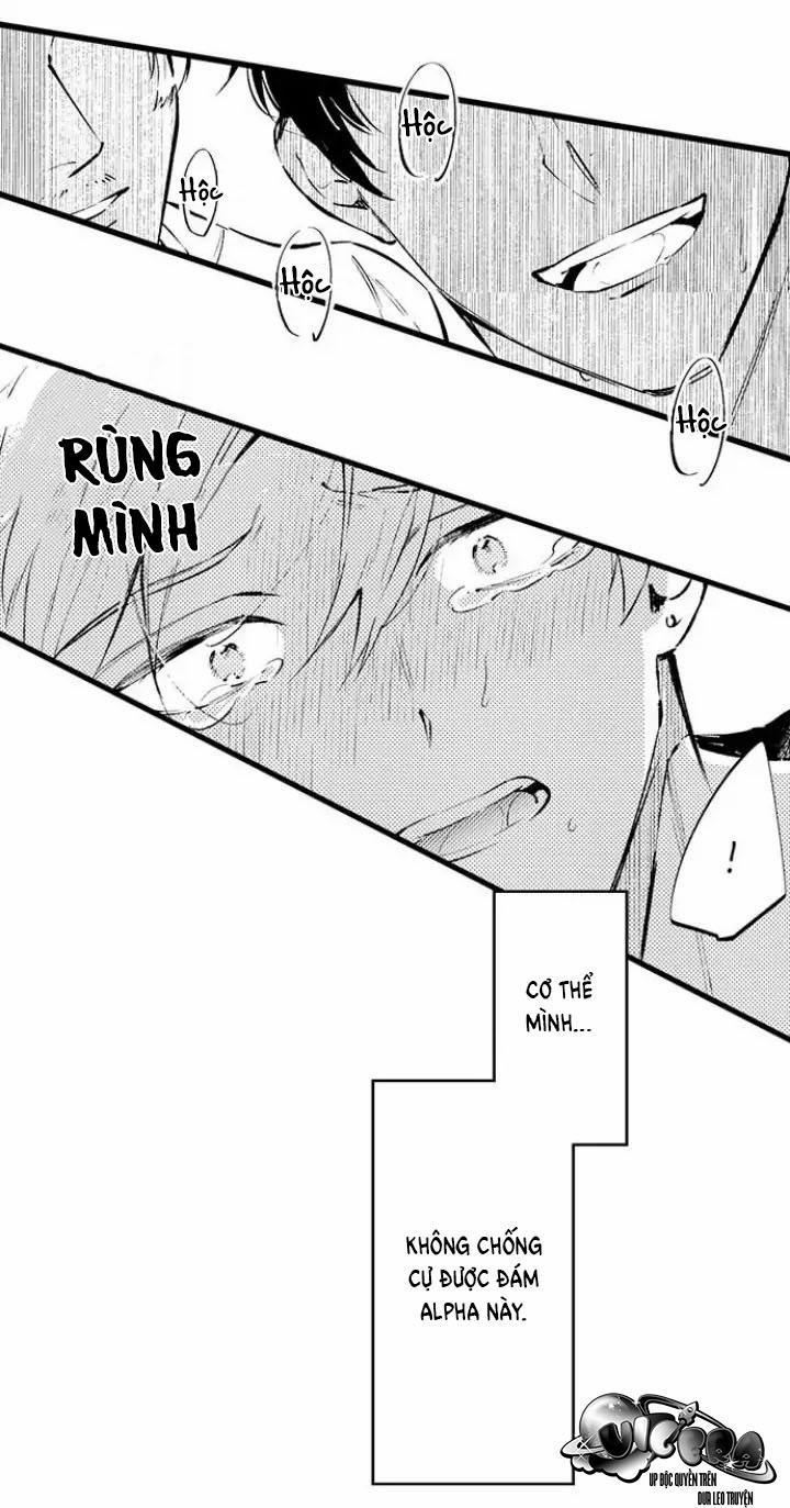 Ly Hôn Đi, Hỡi Ngài Alpha 13 trang 25