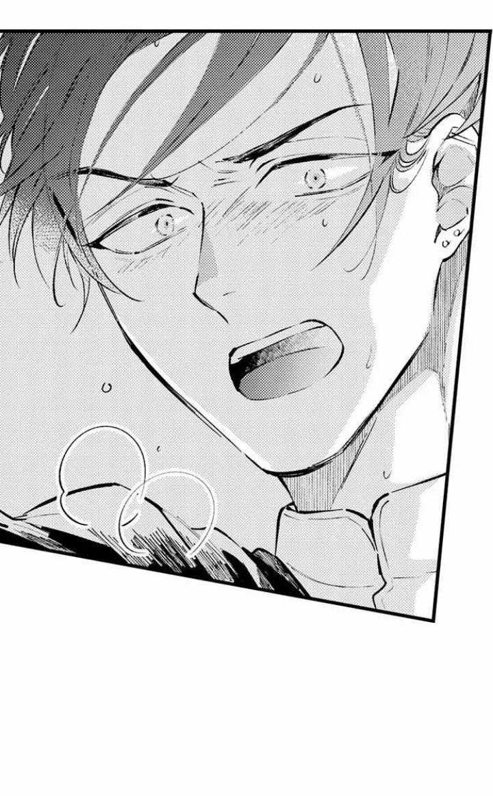 Ly Hôn Đi, Hỡi Ngài Alpha 13 trang 29